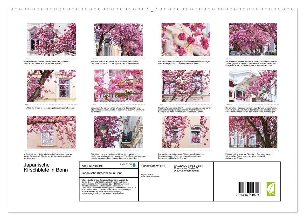 Japanische Kirschblüte in Bonn (hochwertiger Premium Wandkalender 2026 DIN A2 quer), Kunstdruck in Hochglanz: Die Altstadt erstrahlt in Pink und Rosa (CALVENDO Orte)