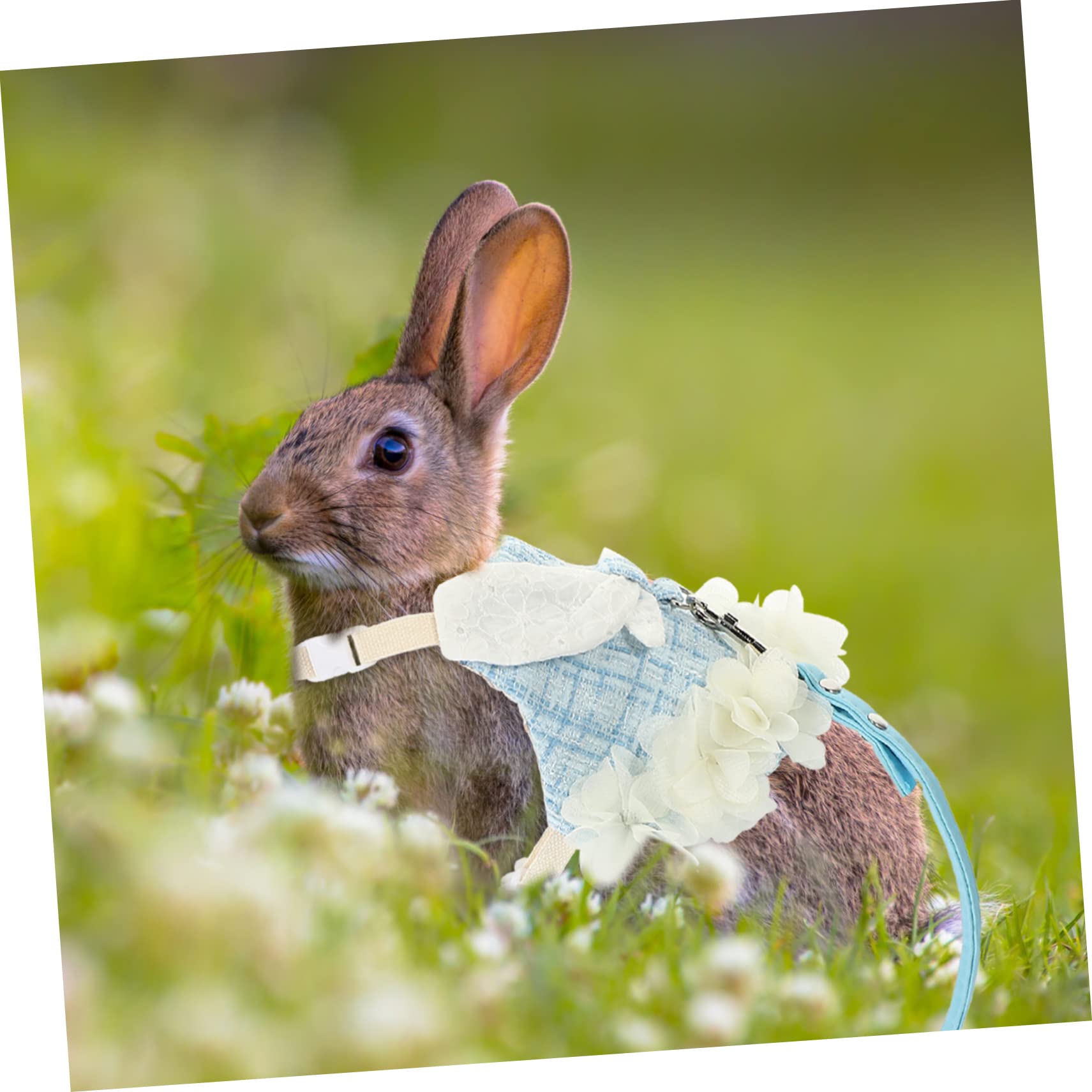 VANZACK 3sets Per Coniglio Con Guinzaglio Abbigliamento e Accessori Per Piccoli Animali Da Esterno Design Traspirante e Leggero Perfetta Per Festività e Passeggiate