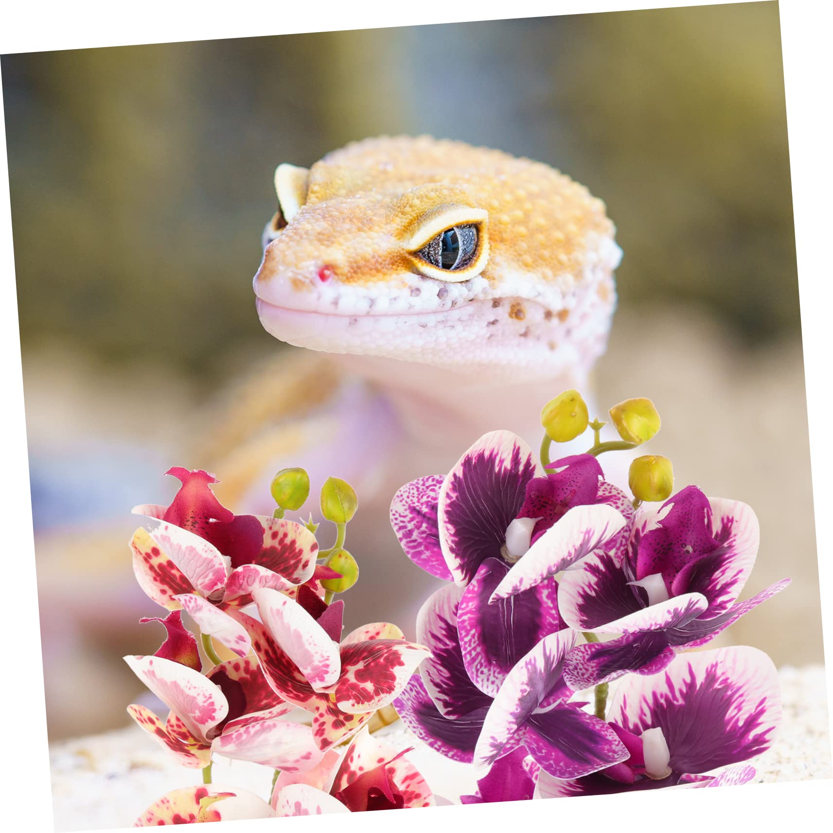 Angoily 4piezas Plantas Artificiales para Terrarios y Acuarios Decoración De Reptiles Accesorios para Tortugas y Lagartos Ornamentos Naturales Lifelike