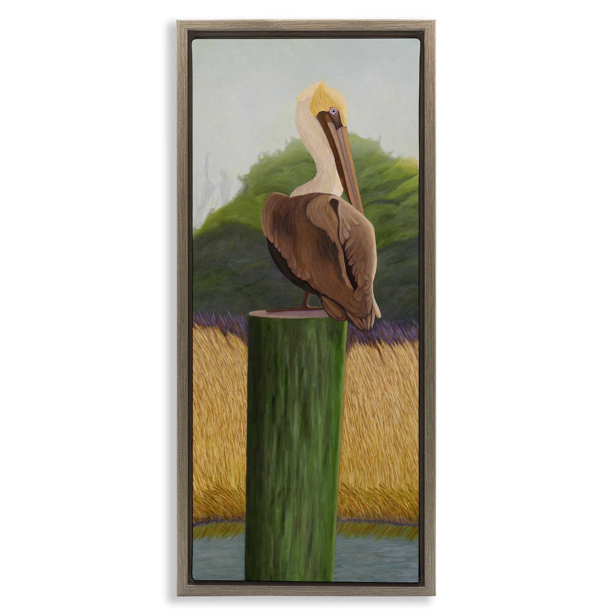 Stupell Industries 'Pelican with Blue Eyes', Floating Frame Canvas Art, Brown, 11 x 25 Inches, Easy to Hang and Sturdy, Made in USA, by Barbara Fallenbaum