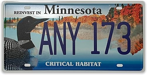 Miniatura 9 de Placa de matrícula retro de Carolina del Norte, decoración de habitación, recuerdo de placa, recuerdo de placa de matrícula retro de metal oxidado,