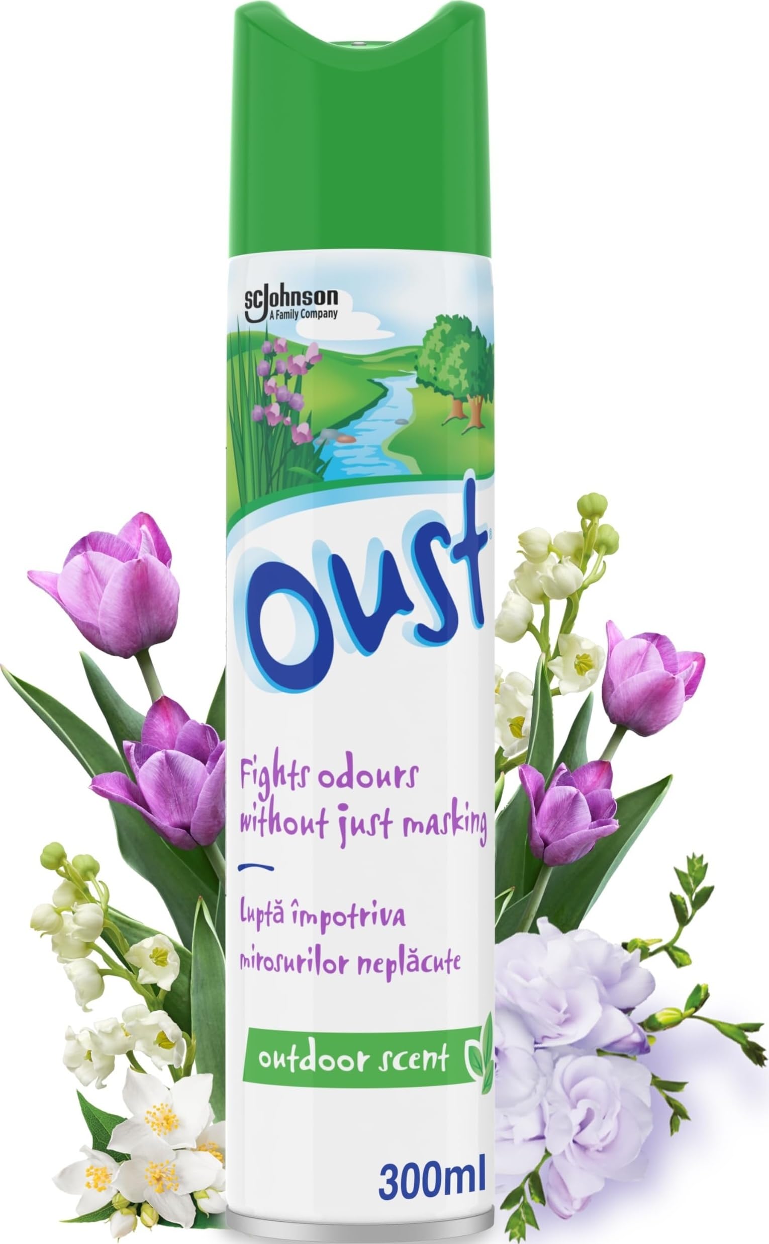Oust Odour Eliminator Aerosol Air Freshener Outdoor Scent 300ml