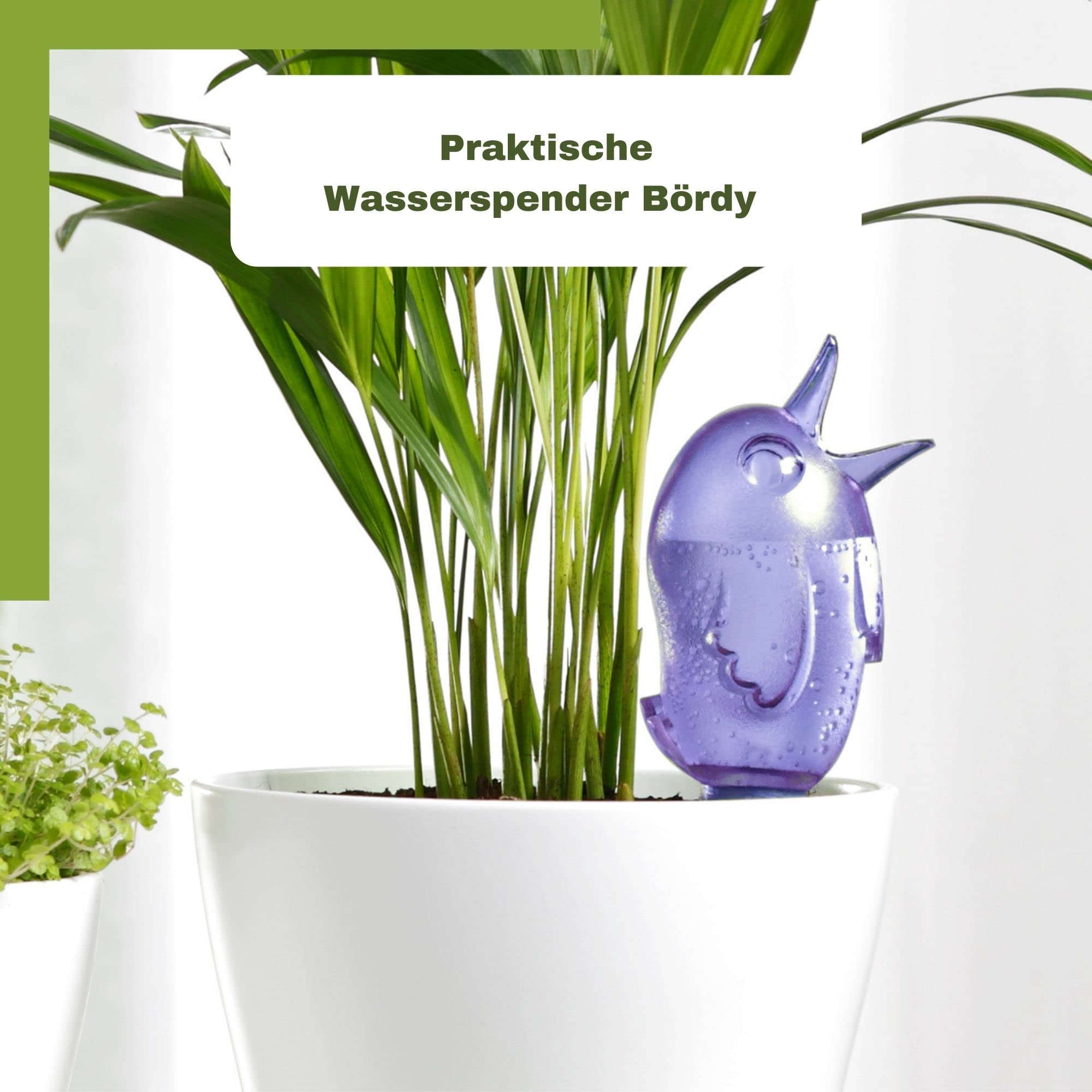 Scheurich Bördy M dozownik wody | zestaw 8 szt. fioletowy/pomarańczowy | pojemność 220 ml | kula nawadniająca mała z glinianą nóżką | dozownik wody do roślin i kwiatów, terakota, łodyga