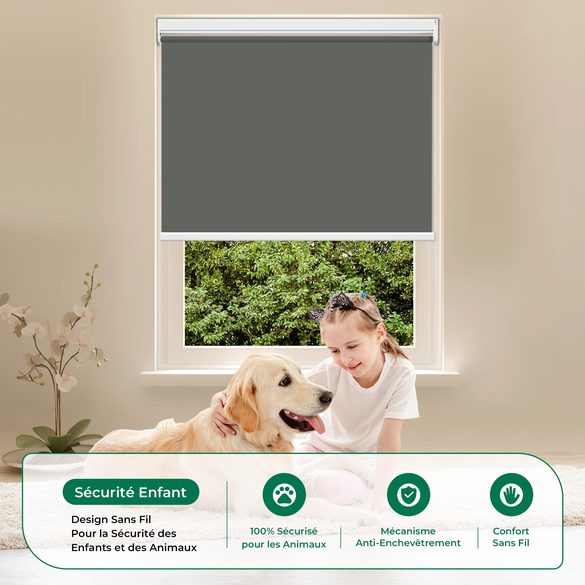 Allesin Stores Enrouleur Occultant Électriques avec ou sans Perçage, avec Moteur & Télécommande, pour fenêtre ou Porte, 100% Protection Solaire, 50l x 110L cm, Gris Foncé
