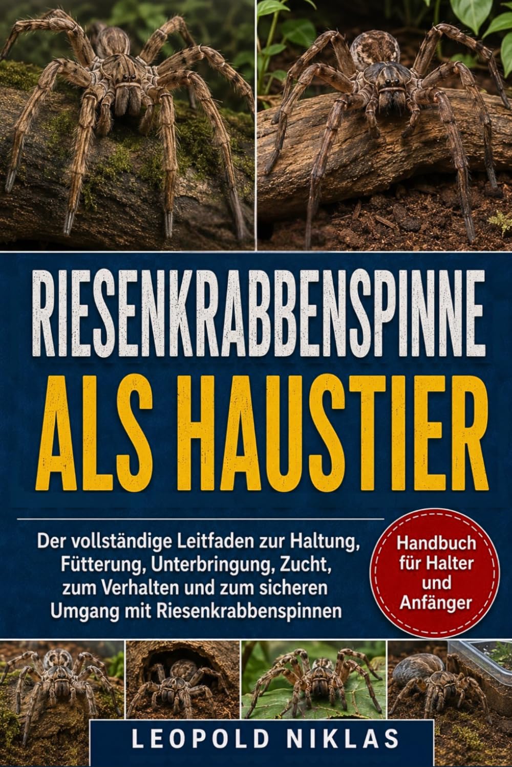 RIESENKRABBENSPINNE ALS HAUSTIER: Der vollständige Leitfaden zur Haltung, Fütterung, Unterbringung, Zucht, zum Verhalten und zum sicheren Umgang mit Riesenkrabbenspinnen