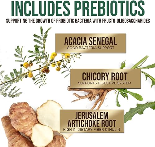 Miniatura 5 de Probióticos 50 mil millones de UFC + 10 cepas Probiótico diario de absorción máxima para mujeres y hombres, mezcla de lactobacillus para apoyo