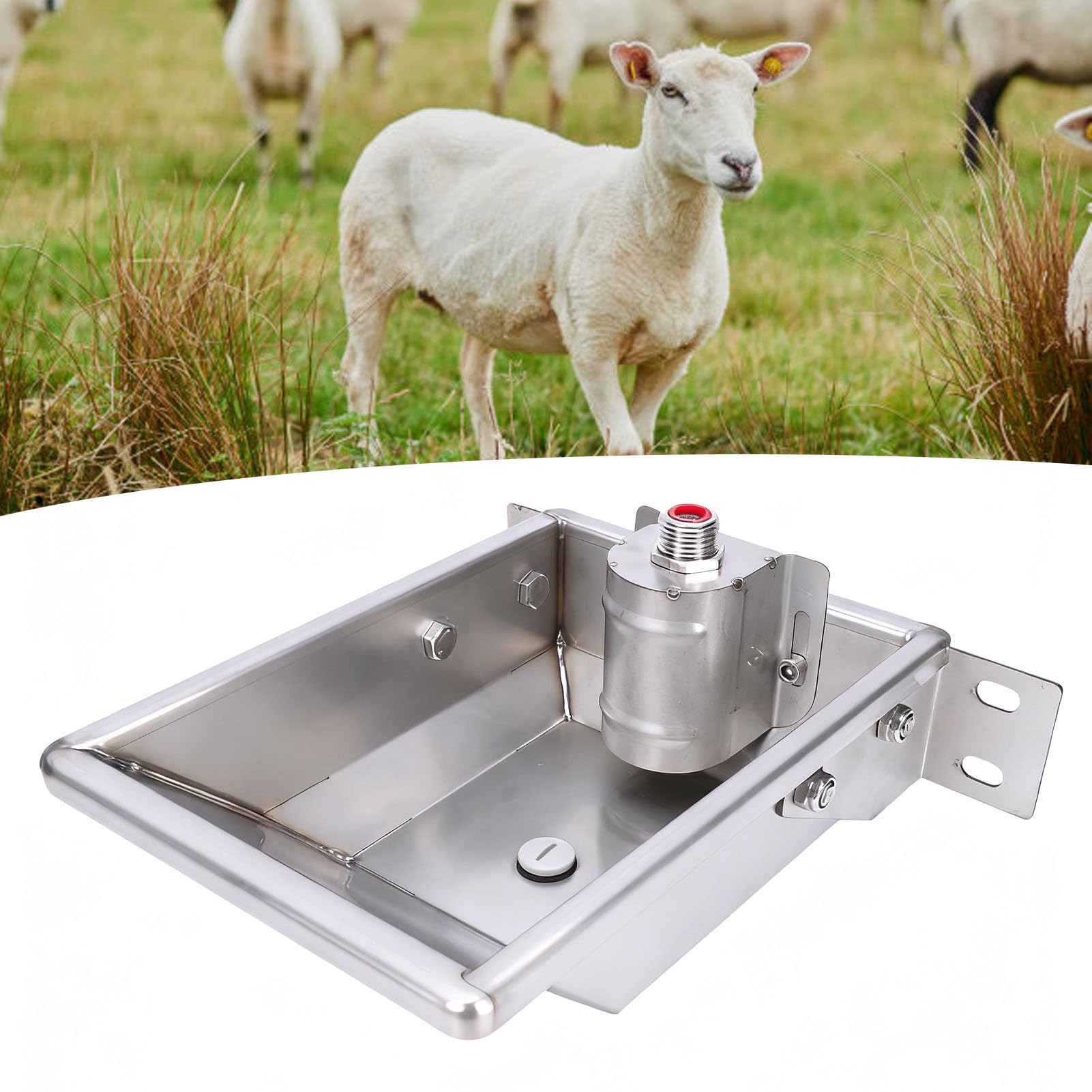 Generic Distributore Automatico di Acqua in Acciaio Inossidabile con Valvola a Sfera Galleggiante, per L'idratazione di Animali Bovini, Ovini, Caprini