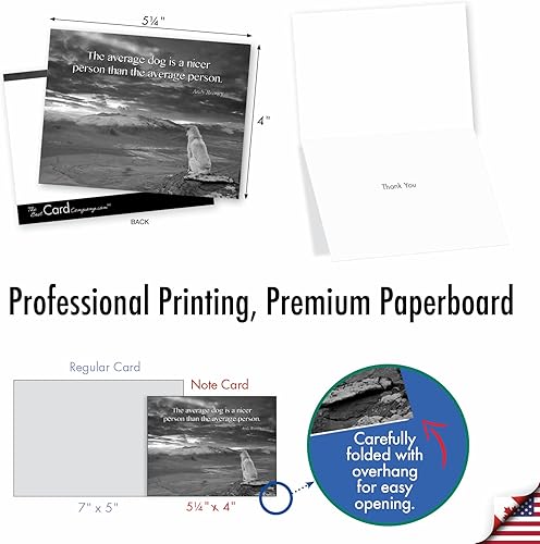 Miniatura 2 de The Best Card Company Juego de 10 tarjetas de agradecimiento surtidas en caja de 4 x 5.12 pulgadas con sobres (10 diseños, 1 cada uno) Canine