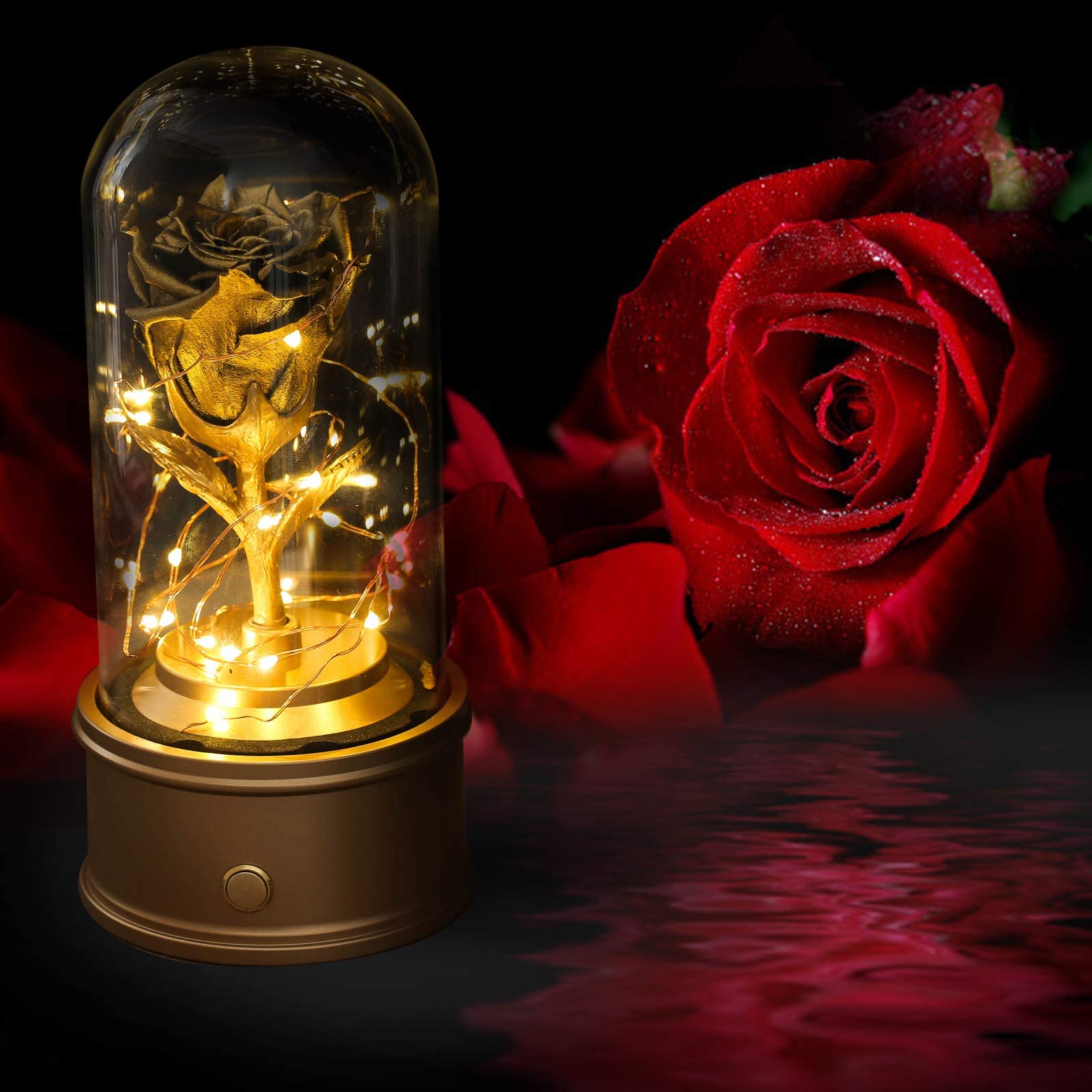 Amazon.co.jp: 保存された赤いバラのオルゴール、ガラスのドームの永遠