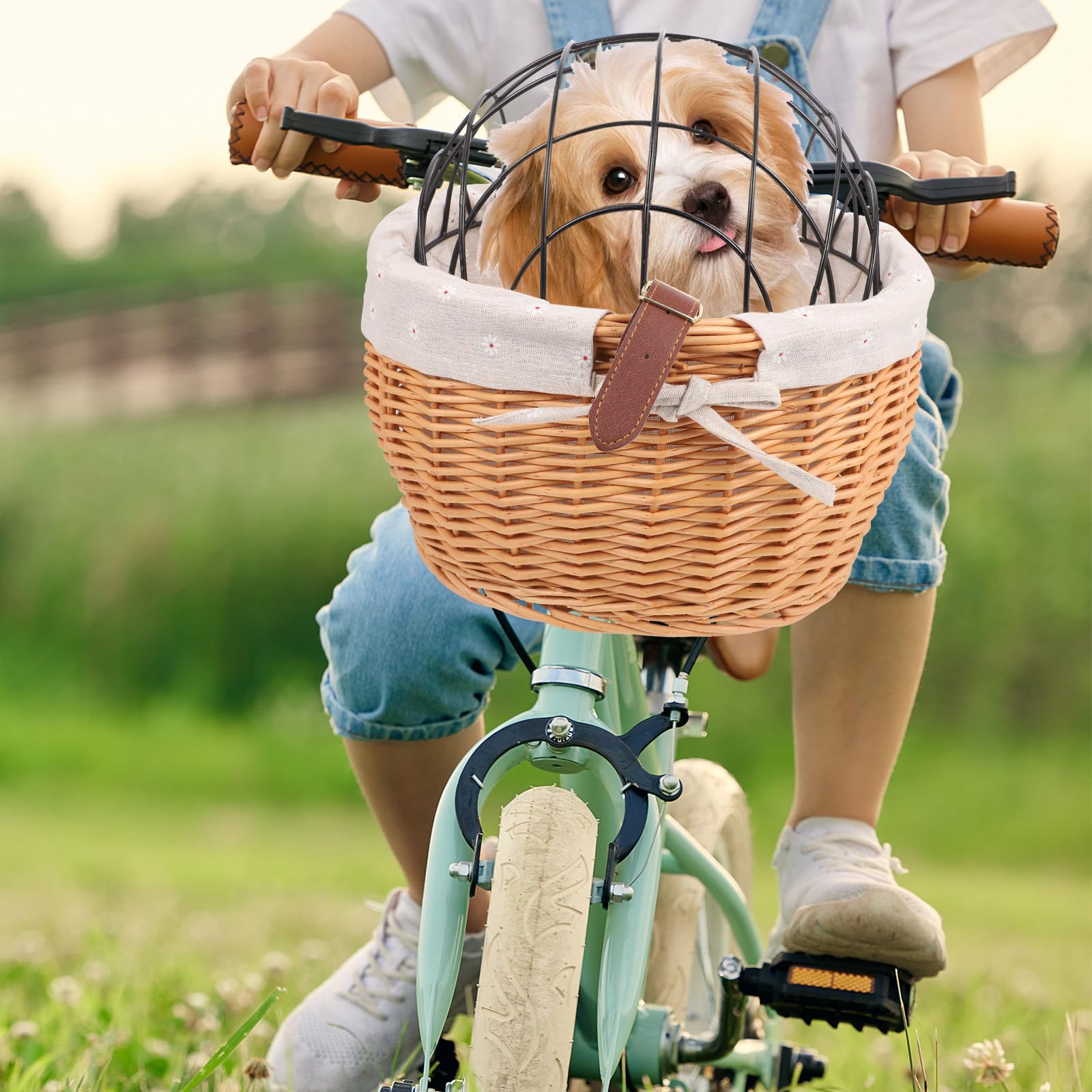 Przedni Koszyk Rowerowy z Metalową Ramą Wytrzymały Pojemnik Psa i Kota Łatwy Do Przenoszenia z Odpinaną Pokrywą Bagażnik Do Roweru Miejskiego i Górskiego