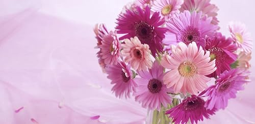 1086 Flowers Wallpapers
