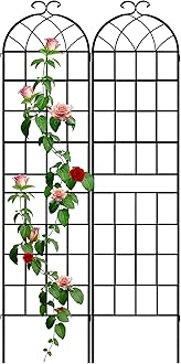 - LZRS 2 Pack 83x20in Rustic Iron Arch Decoration Garden Trellis with Black Metal Coating – Perfect for Supporting Climbing Plants Outdoor, Roses, Vines, Flowers, and Vegetables.