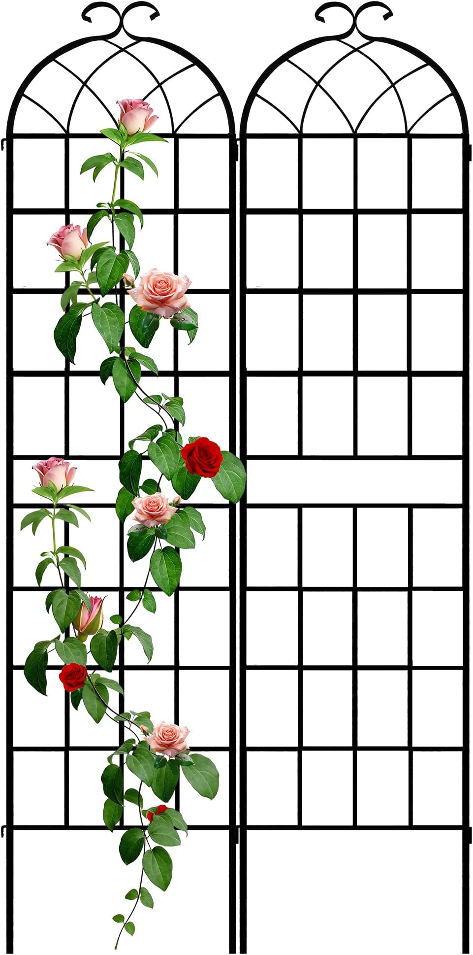 LZRS 2 Pack 83x20in Rustic Iron Arch Decoration Garden Trellis with Black Metal Coating – Perfect for Supporting Climbing Plants Outdoor, Roses, Vines, Flowers, and Vegetables.