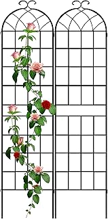 LZRS 2 Pack 83x20in Rustic Iron Arch Decoration Garden Trellis with Blac...