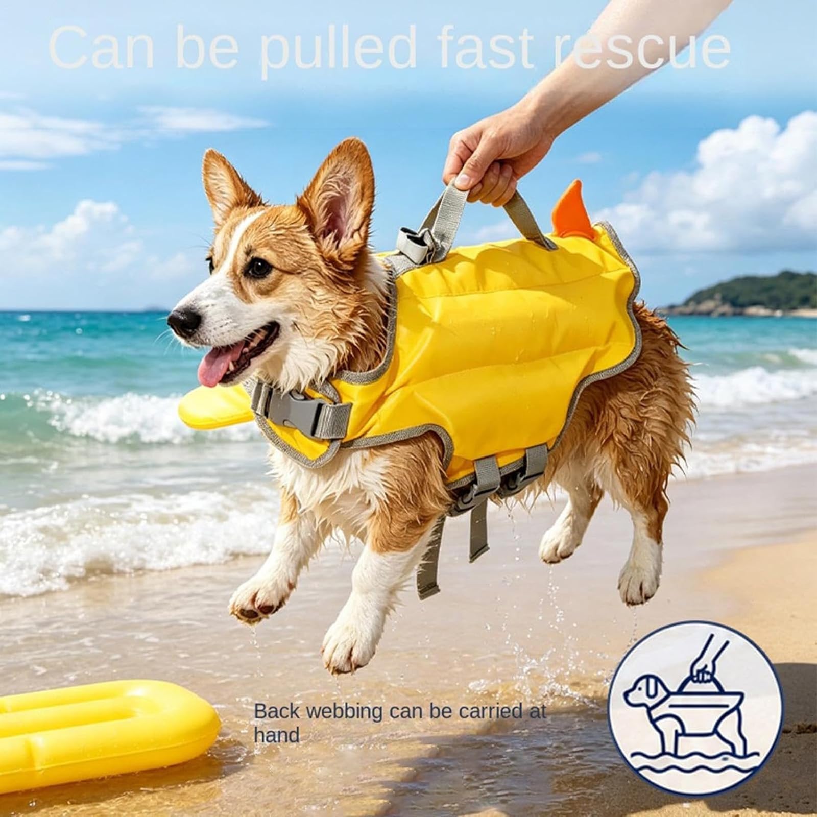 Gilet De Sauvetage Chien, Gilet De Haute Flottabilité (Dinosaure,XXL)