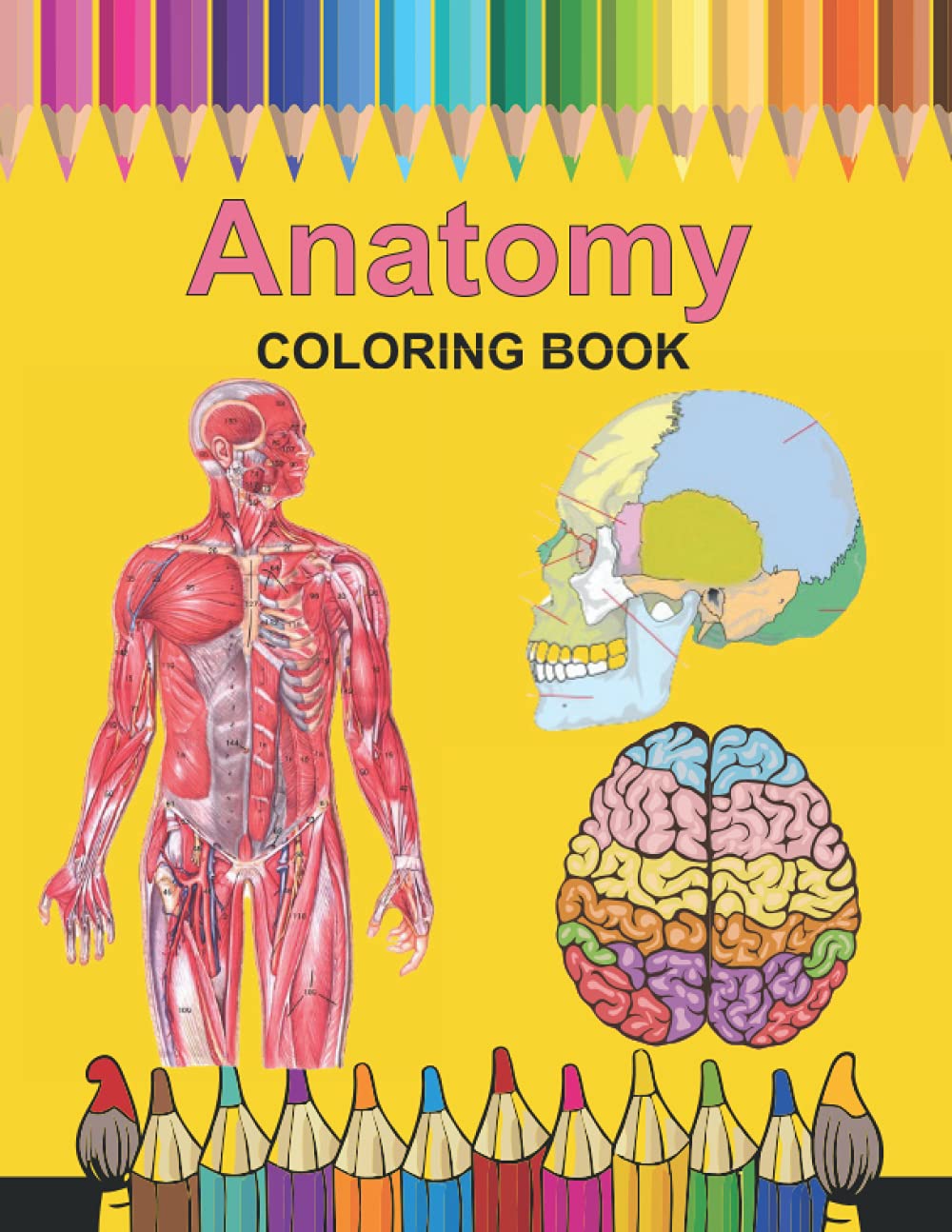 Anatomy Coloring