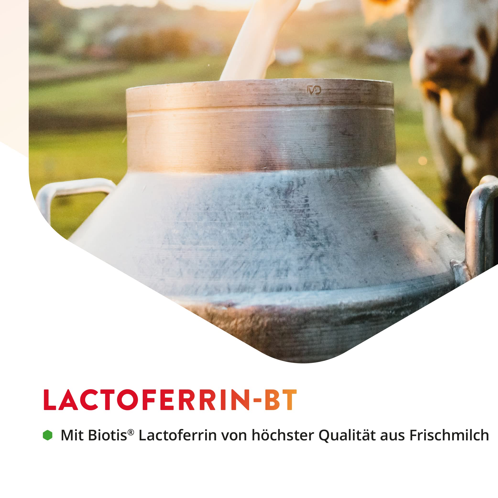 Vitals - Lactoferrin BT 60 Kapseln mit Biotis® von höchster Qualität aus Frischmilch. 200 mg pro Kapsel(magensaftresistenten)