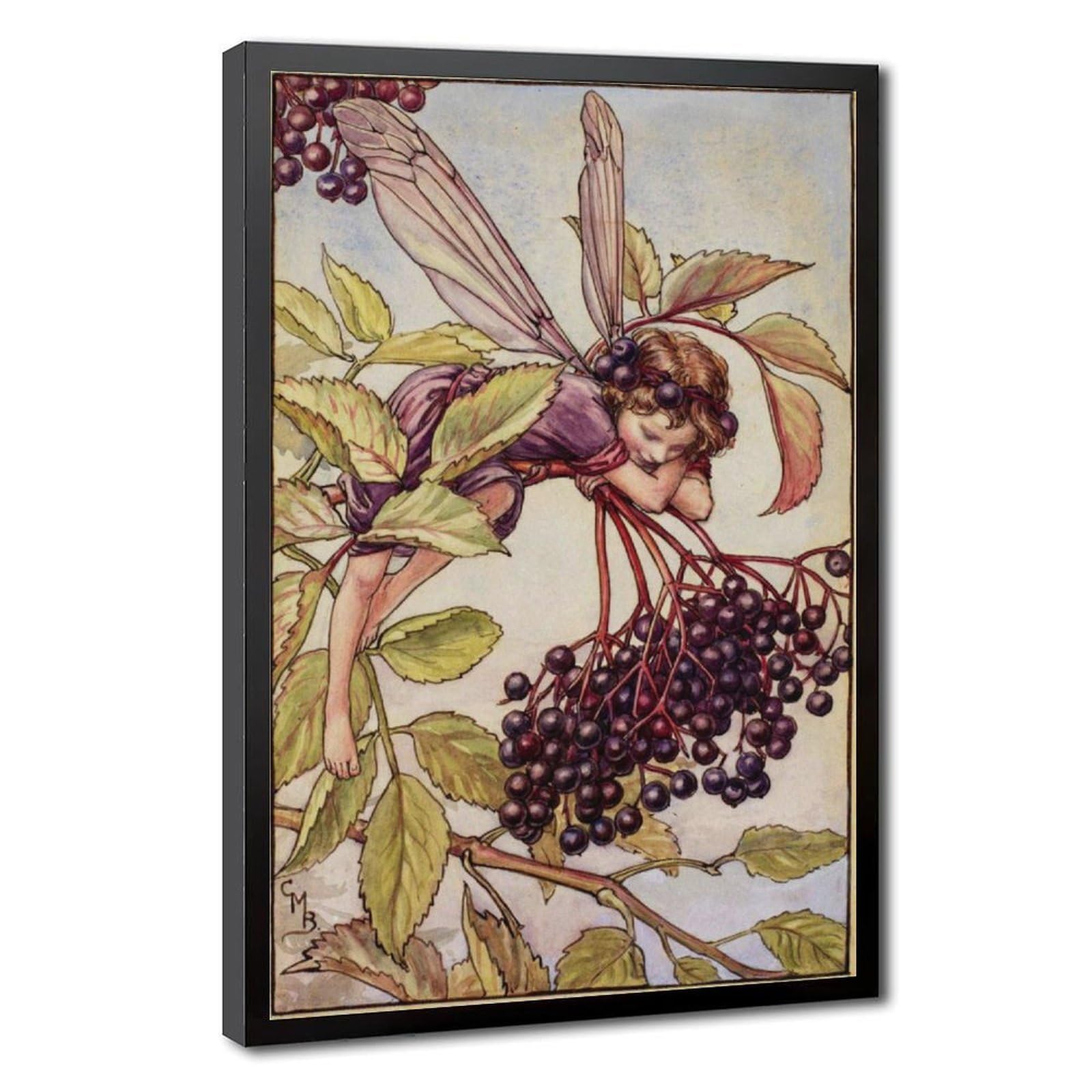 WCYB The Elderberry Fairy by Cicely Mary Barker Posters Prints Canvas Deco Paintings Wall Art Hangable Frame 8" L X 12" W