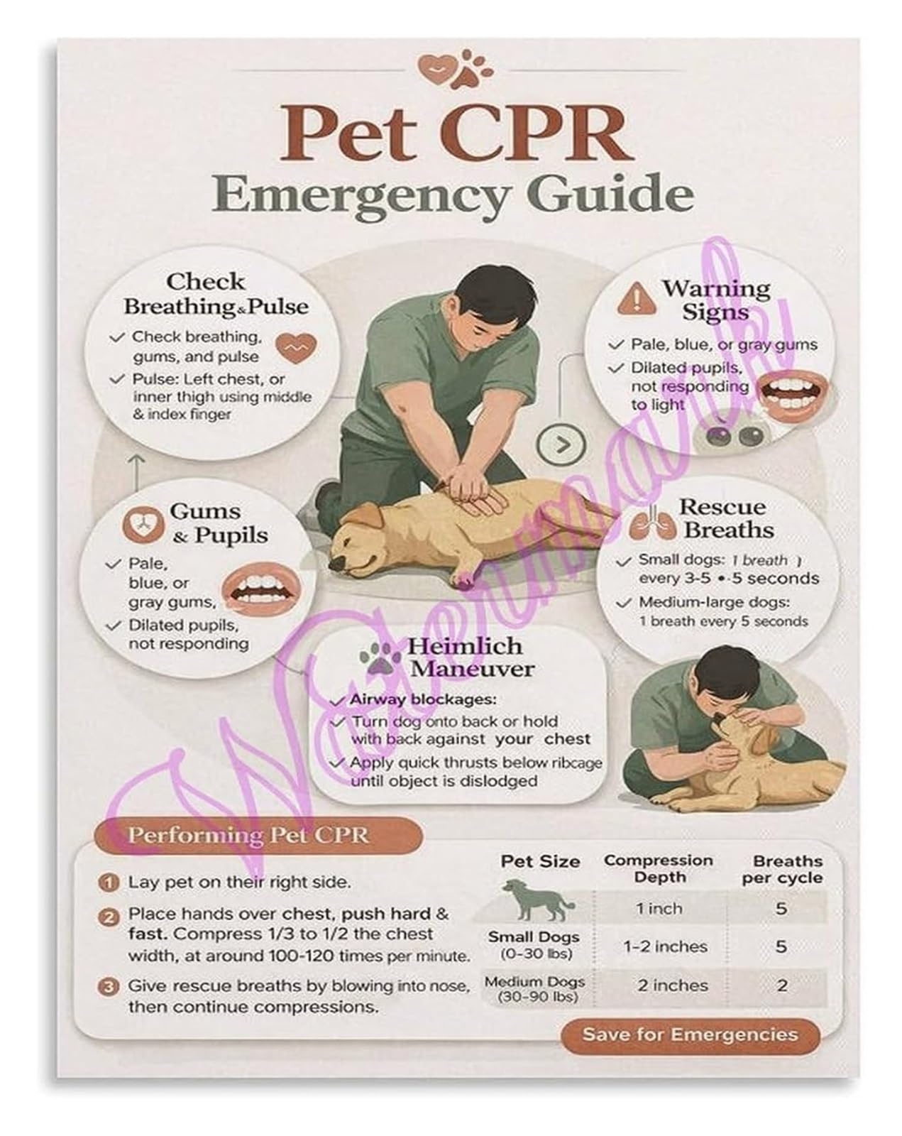 ZDVHOMCB Dog Heimlich Maneuver Step by Step Poster Canine Airway Obstruction CPR Combo Pet Wall Hanging Unframed,08x12inch(20x30cm)