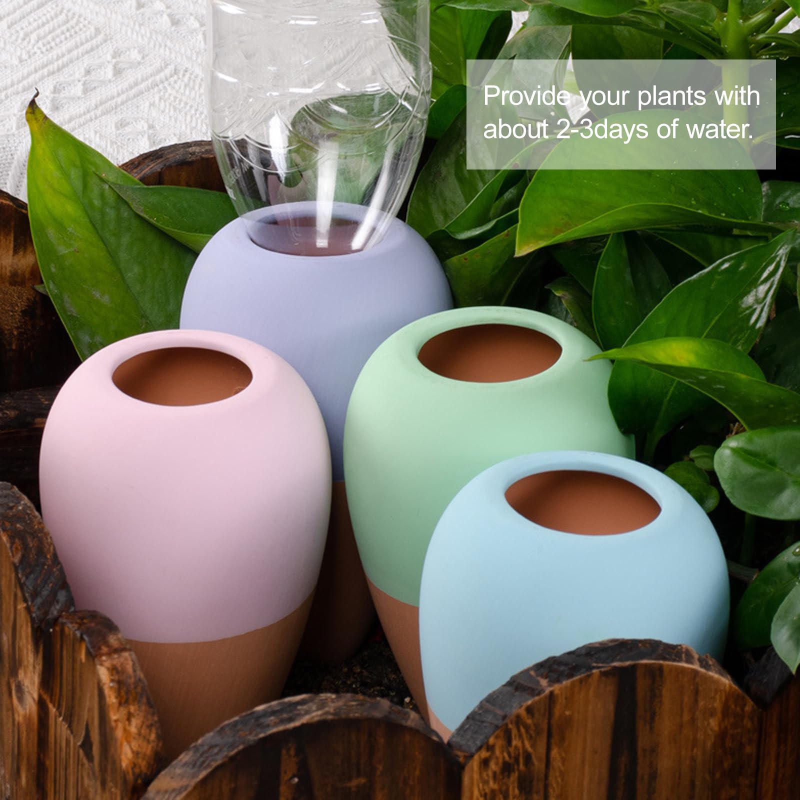 Tonkegel Bewässerung 4er Set, Pflanzen Wasserspender Ton, Wein und PET Flaschen Bewässerungskegel, Terracotta