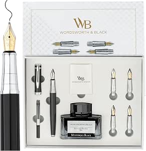 Wordsworth & Black Luxury Fountain Pen Set for Writing, 6 Nibs, Black Chrome