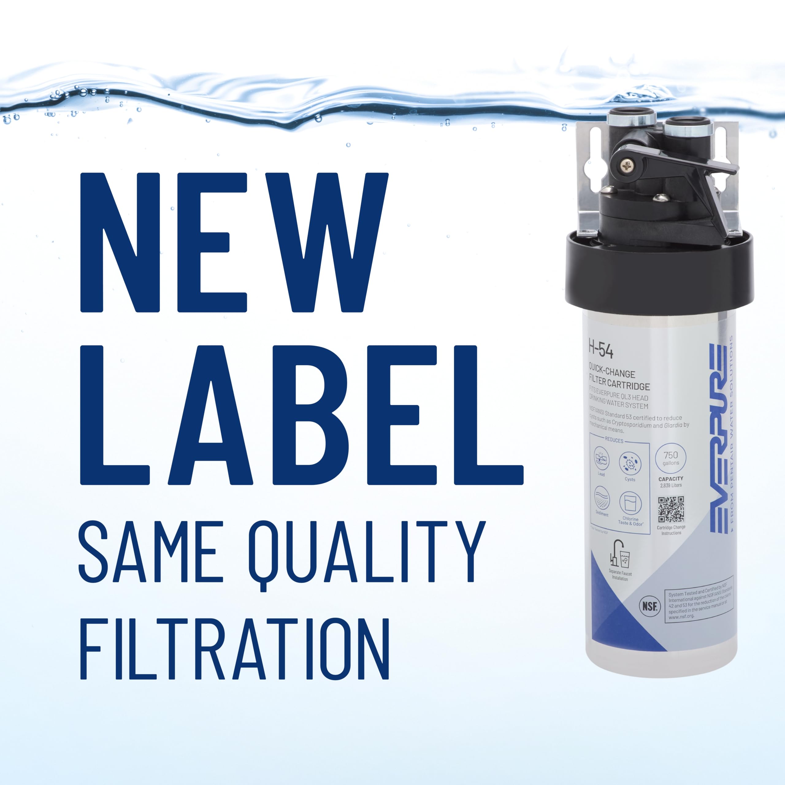 Everpure H-54 Replacement Filter - Clean Water! -6 Everpure H-54 Replacement Filter - Clean Water! -6
