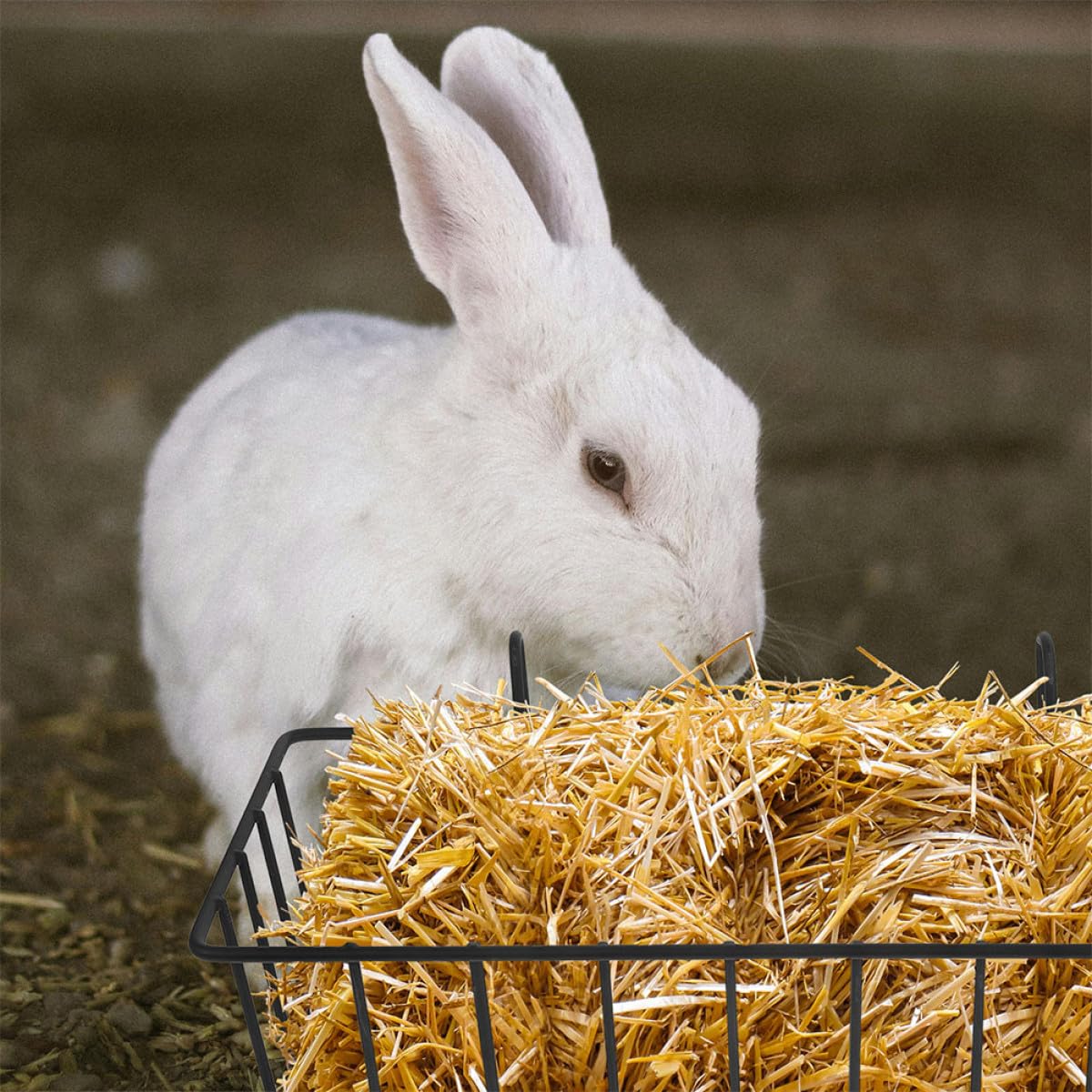 ULTECHNOVO Lot de 5 Râteliers à Foin pour Lapins en Fer Noir Résistants à l'usure Design Suspendu pour Cage d'animaux Petits Tels Que Chinchillas