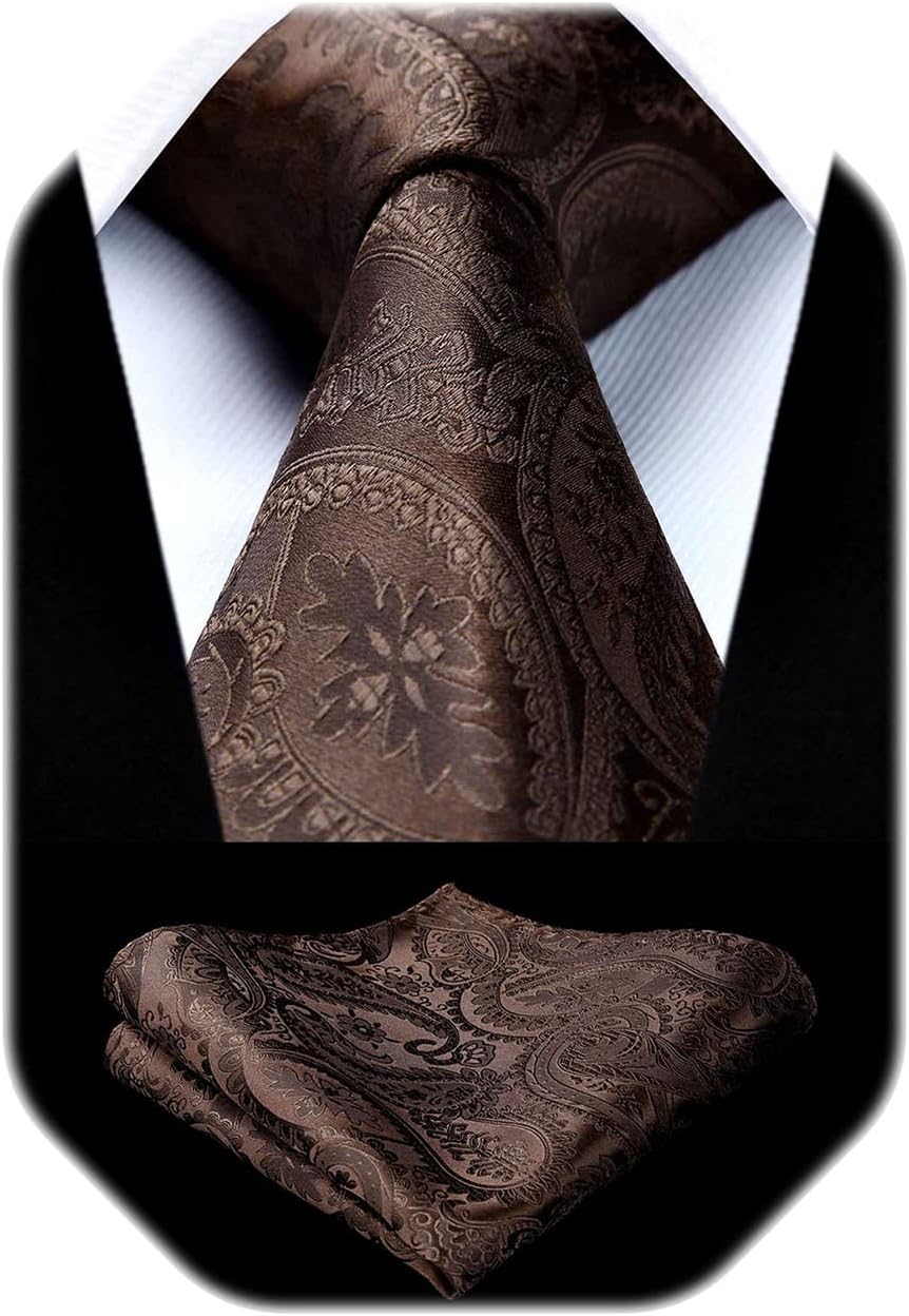 HISDERN Paisley Ties for Men Solid Tie Handkerchief Floral Men's Necktie & Pocket Square Set Wedding Classic Mens Ties