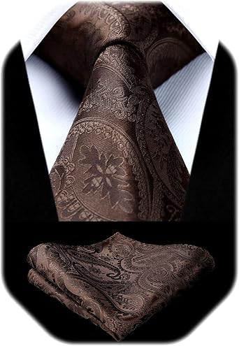 HISDERN Paisley Ties for Men Solid Tie Handkerchief Floral Mens Necktie & Pocket Square Set Wedding Classic Mens Ties