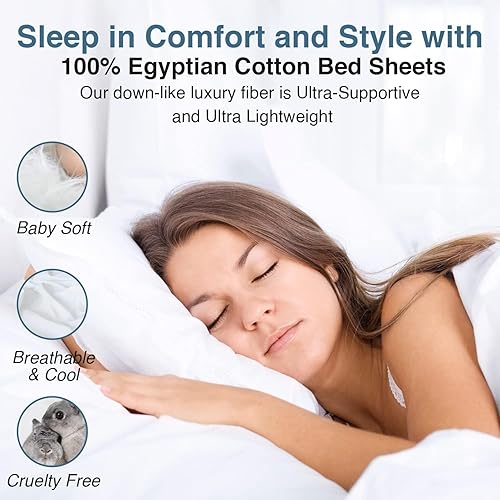 Miniatura 5 de DORMICA - Juego de sábanas tamaño California King de 800 hilos, 100% algodón egipcio, 4 piezas, color verde azulado, bordado, marfil, transpirables