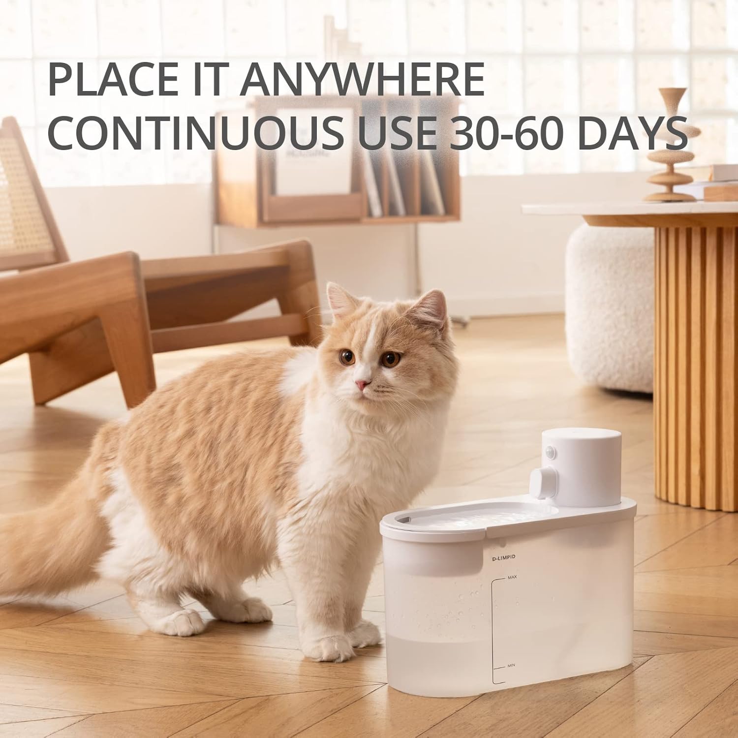 Buy Automatic Cat Water Fountain,Boqii 68oz/2L Visible Water Level Cat