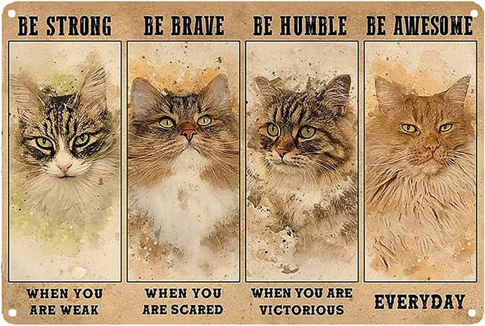Four Different Stages of the State - Be Strong When You Are Weak Vintage Wall Decoration Tin Metal Signs Artwork - Encouragement From Cats Original Vintage Design Tin Metal Wall Art Print Poster