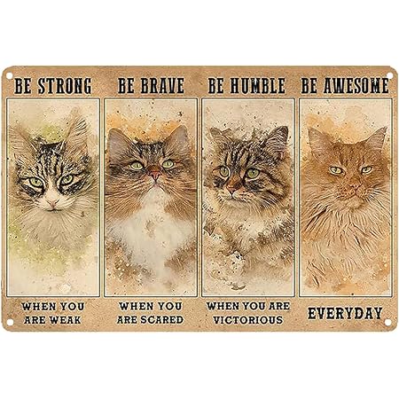 Four Different Stages of the State - Be Strong When You Are Weak Vintage Wall Decoration Tin Metal Signs Artwork - Encouragement From Cats Original Vintage Design Tin Metal Wall Art Print Poster