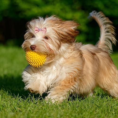 Miniatura 5 de 20 lazos para el pelo de perro, coloridos lazos para perros pequeños, elegantes lazos elásticos para perros con bandas de goma para el nudo