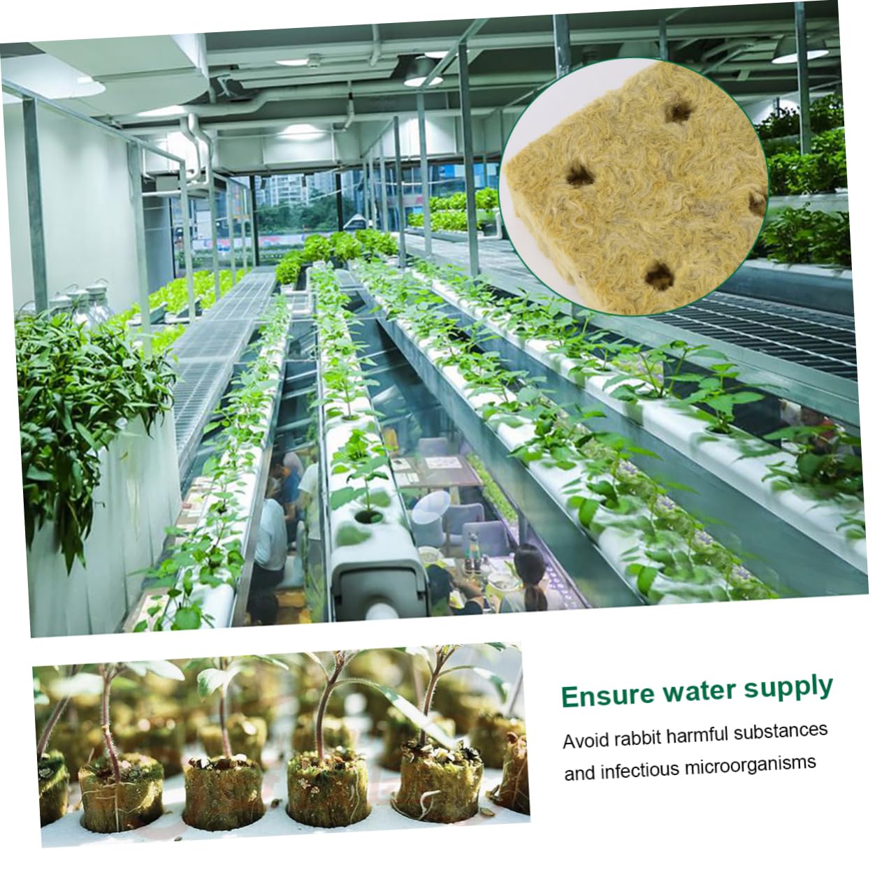 Bloques de Lana Material Limpio y Sanitario para Cultivo Hidropónico sin Suelo 8 Piezas de 1,5 Pulgadas Adecuado para Jardinería y Cultivo de Plántulas