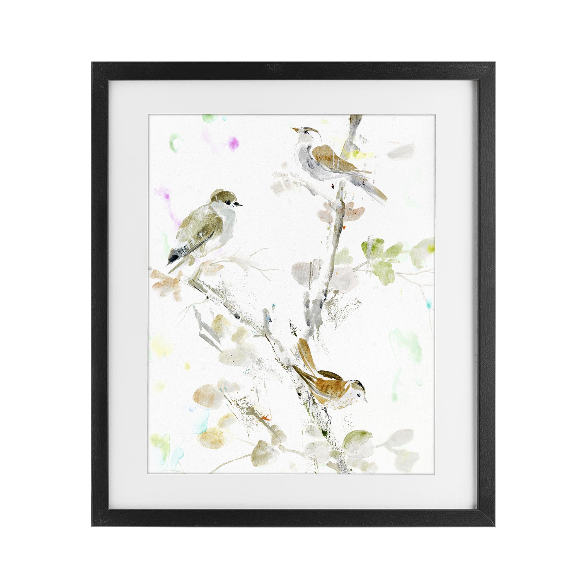 Stupell Industries 'Delicate Feathers Trio', Framed Print Under Glass, Black, 17 x 21 Inches, Easy to Hang and Sturdy, Made in USA, by Lorenzo Collective