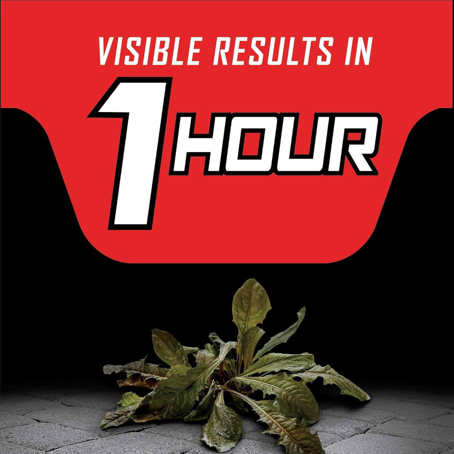 Ortho GroundClear Year Long Vegetation Killer with Comfort Wand - Ready-to-Use Weed Killer Spray, Kills Weeds and Grasses, Prevents Unwanted Growth for up to 1 Year, 1 gal.