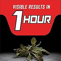 Vista 6 de Ortho GroundClear - Asesino de vegetación de un año con varita Comfort Wand - Spray eliminador de malezas listo para usar, mata malezas y hierbas