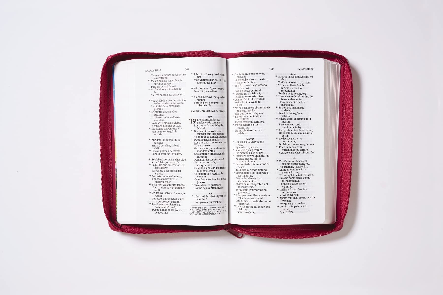 RVR60, Santa Biblia, Tierra Santa, Letra grande, Leathersoft, Fucsia, con Cierre, Palabras de Jesús en Rojo, Comfort Print (Spanish Edition)