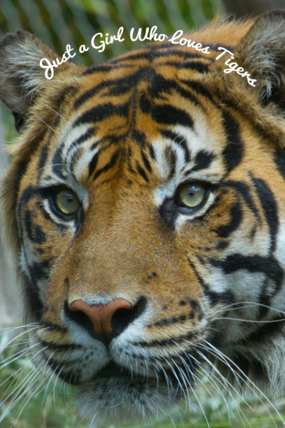 Just a Girl Who Loves Tigers: Notebook for Girls, Women, School, College, Writing Notes, Thoughts, Gift: (110 Pages 6x9) Tiger Journal Notebook, Tiger Composition Notebook