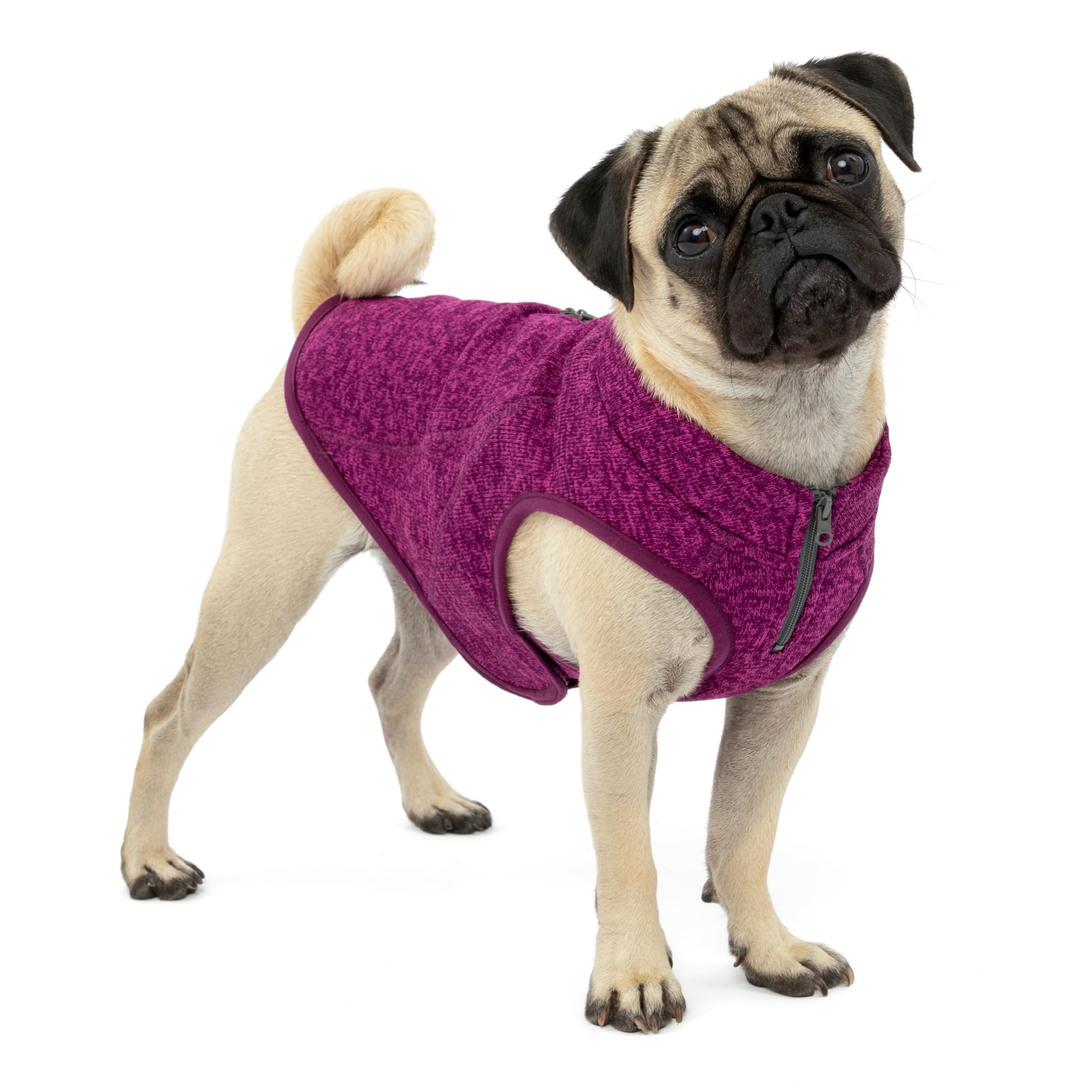 Kurgo Core Hondentrui, het hele jaar door trui voor honden Kurgo Core Hondentrui, het hele jaar door trui voor honden
