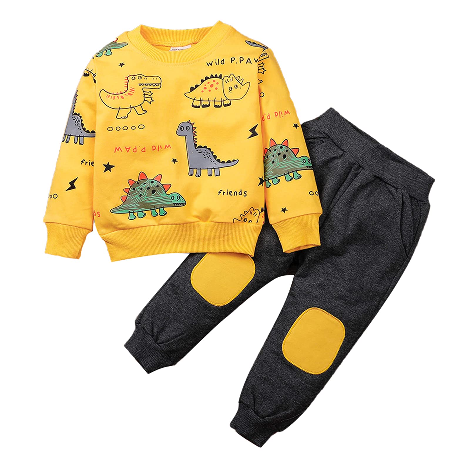 amropi Garçon Ensemble de Survêtement Dinosaure Imprimé Sweatshirt et Jogging Pantalons pour 1-6 Ans