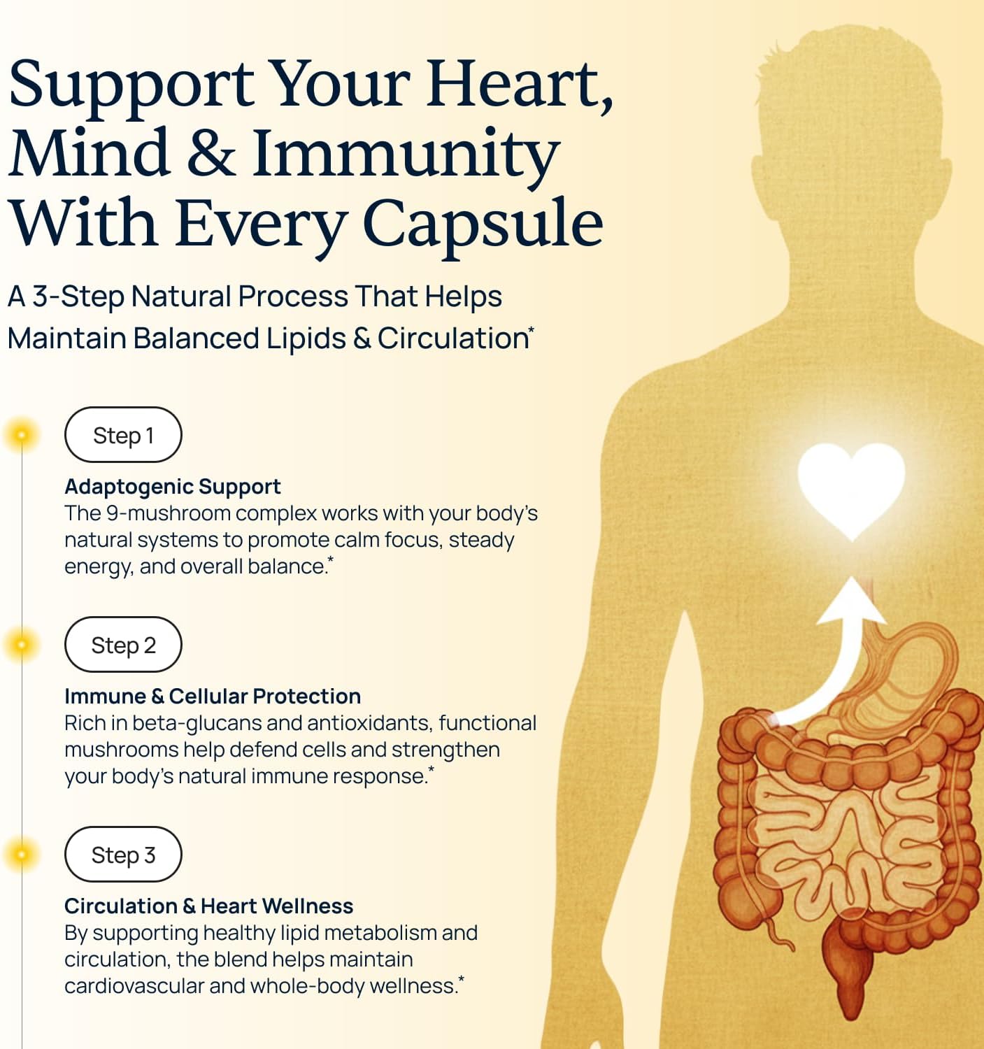 Cholibrium 9-in-1 Mushroom Complex Capsules With Lion’s Mane & Reishi - Adaptogenic Mushrooms Supplement Blend For Daily Immunity Focus, Sleep & Heart Health Support - 1,330 mg - 60 Capsules - Image 5
