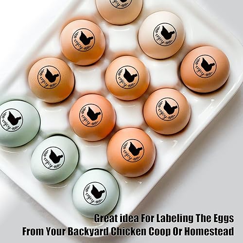 Miniatura 3 de Sellos de huevos, bonitos sellos de huevos para huevos frescos con almohadilla de sello, sello personalizado para huevos de granja de gallineros y