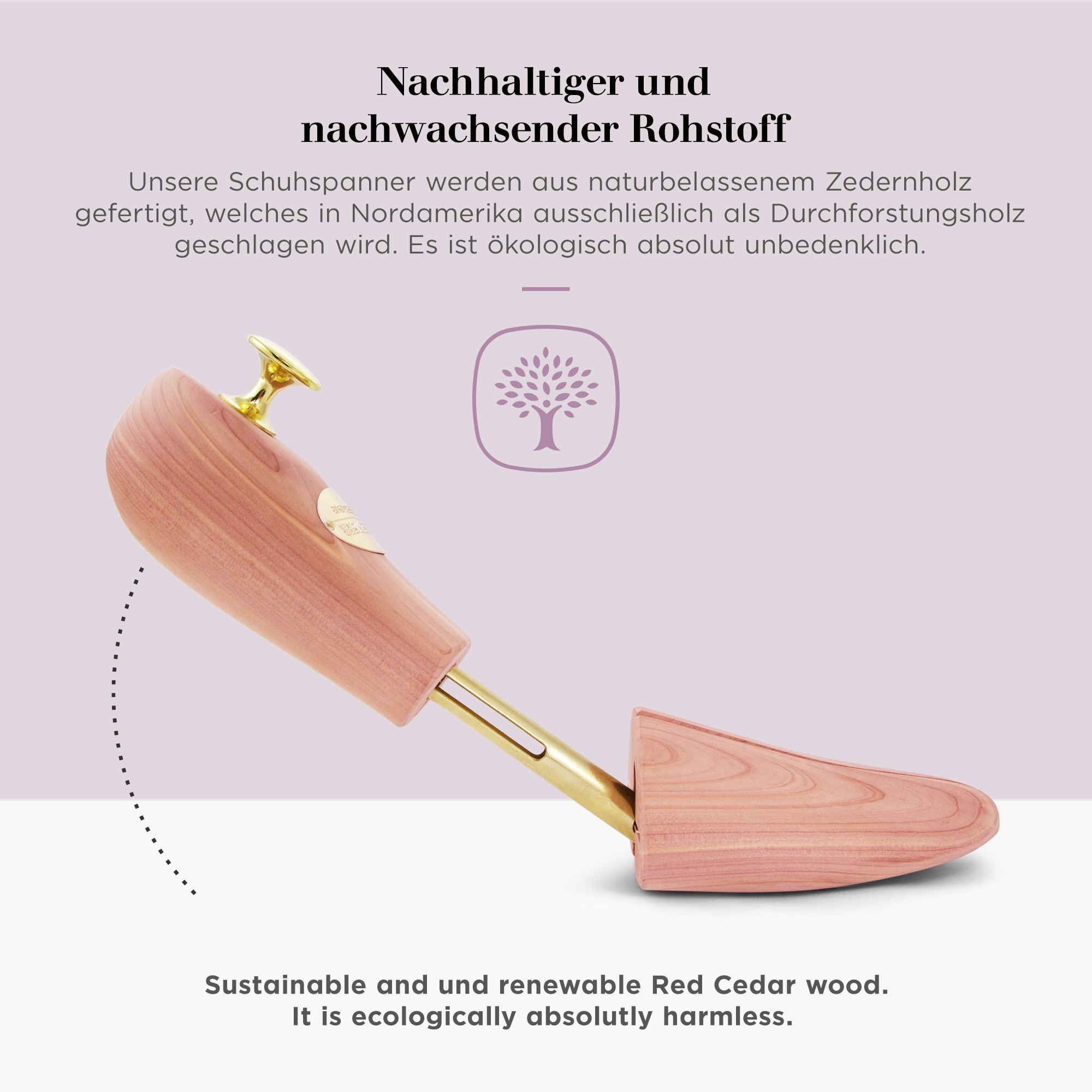 Schlesinger – 8 Paar Premium Damen Schuhspanner aus edlem Zedernholz für eine optimale Schuhpflege. Modell Königin. Größe 36 – 41 in Silber oder Gold.