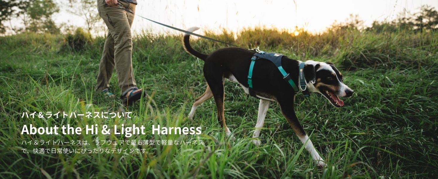 Amazon | RUFFWEAR(ラフウェア) ハイ&ライトハーネス ライケングリーン