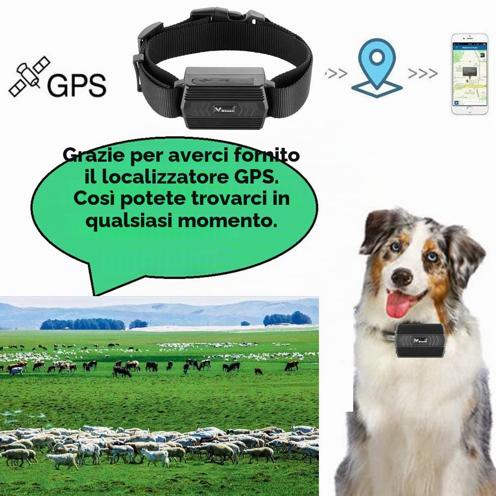 4G Collare GPS per Cane Localizzatore GPS per Bovini Ovini Collare Tracking con Sistema Prevenire smarrimento Crea Confini Virtuali Monitoraggio in Tempo Reale e Traiettoria storica Tracker Animali