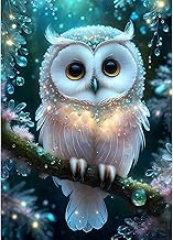 QINRUBB 5D Hibou Peinture Diamant Painting Kit, DIY Fantaisie Art du Diamant Complet Kits, Pays des Rêves Diamond Art Strass Point de Croix Painting pour Adultes Débutants Maison Décoration 30X40cm