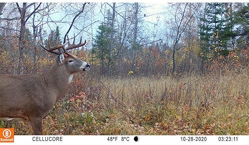 Miniatura 8 de Bushnell CelluCORE 20 - Cámara Trail para AT&T con bajo resplandorrango nocturno de 80 pies y cámara de video HD