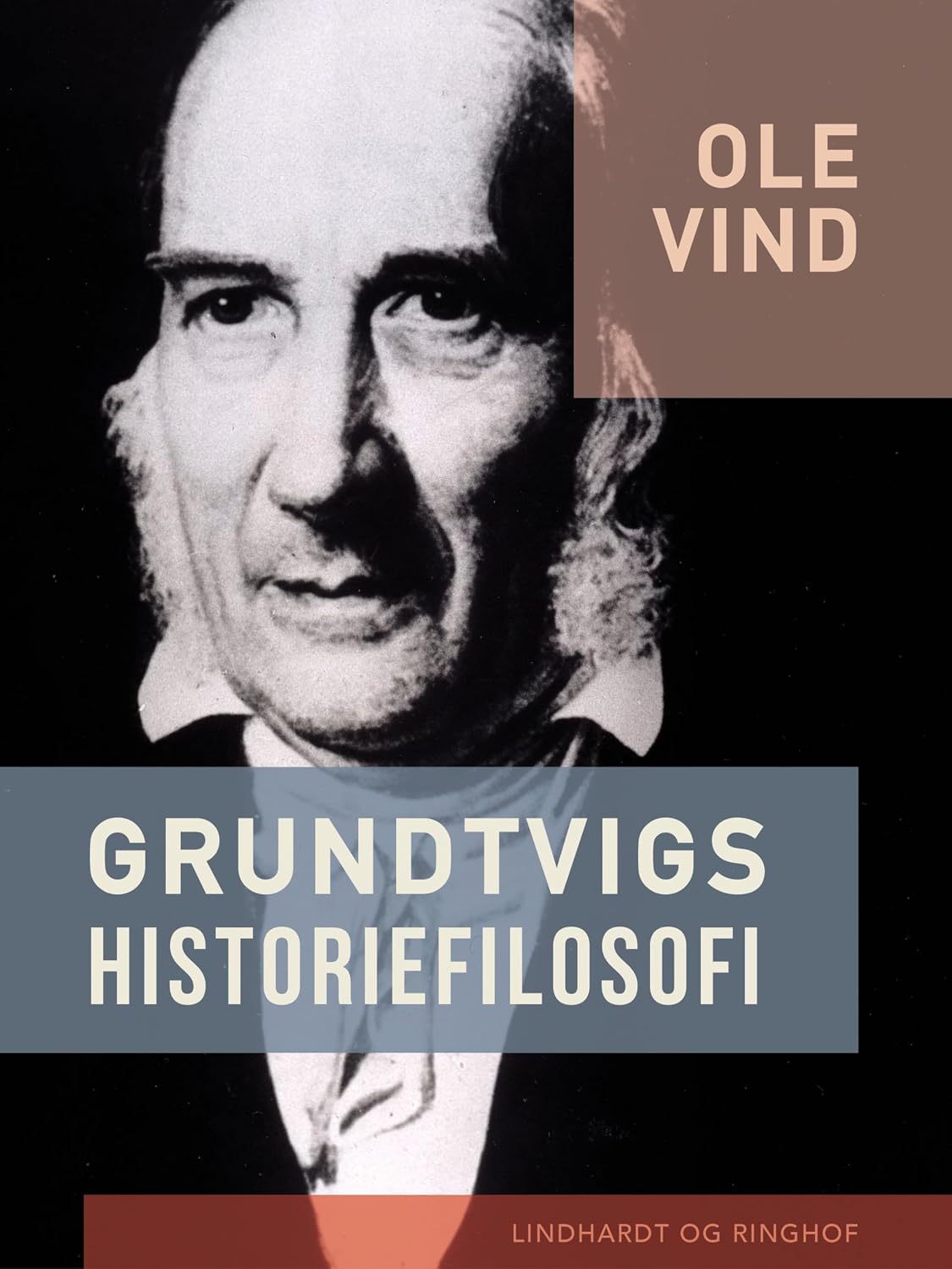 Grundtvigs historiefilosofi (Danish Edition)